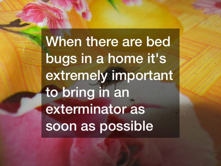 Clarion Hotel Portland Maine Bed Bugs Maine's Finest