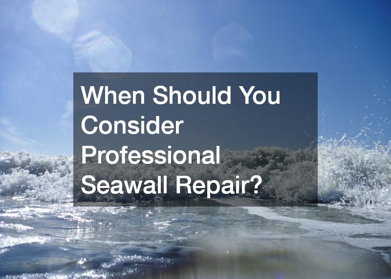 When Should You Consider Professional Seawall Repair?